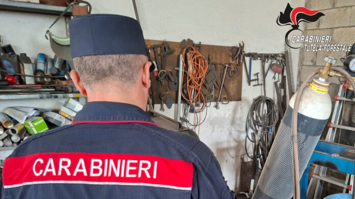 inquinamento ambientale