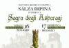 Salza Irpina, il 16 e 17 maggio ritorna la Sagra degli Asparagi salza irpina