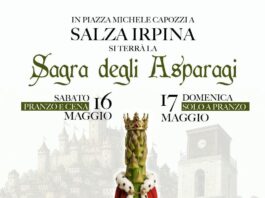 salza irpina