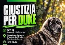 Monteforte Irpino chiede giustizia per Duke e rispetto per tutti gli animali, Lunedì 19 ottobre Sit-In con l’Onorevole Borrelli