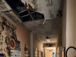 Avellino, Cipriano sul Teatro Gesualdo: “Da 2.770 a 62 abbonamenti, i numeri raccontano il declino”